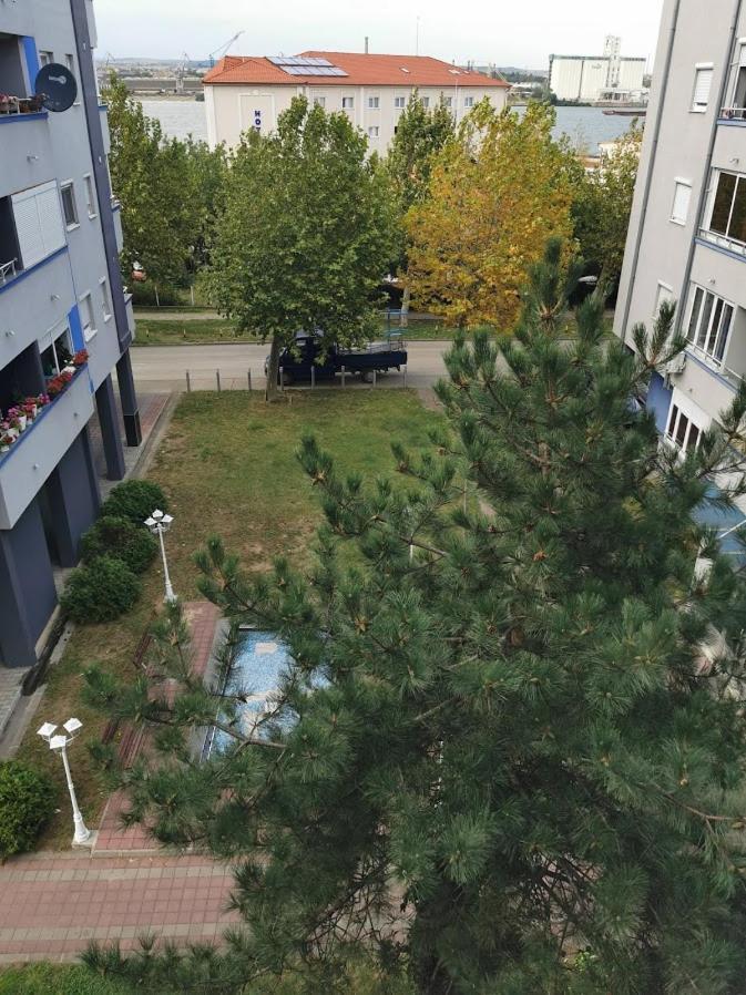 Apartman Bondi 2 Kladovo Dış mekan fotoğraf